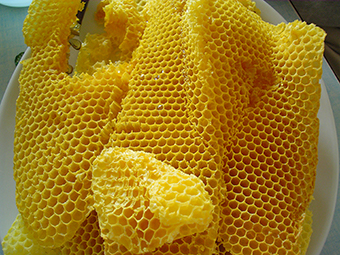 Bee Honeycomb which can be made into Beeswax