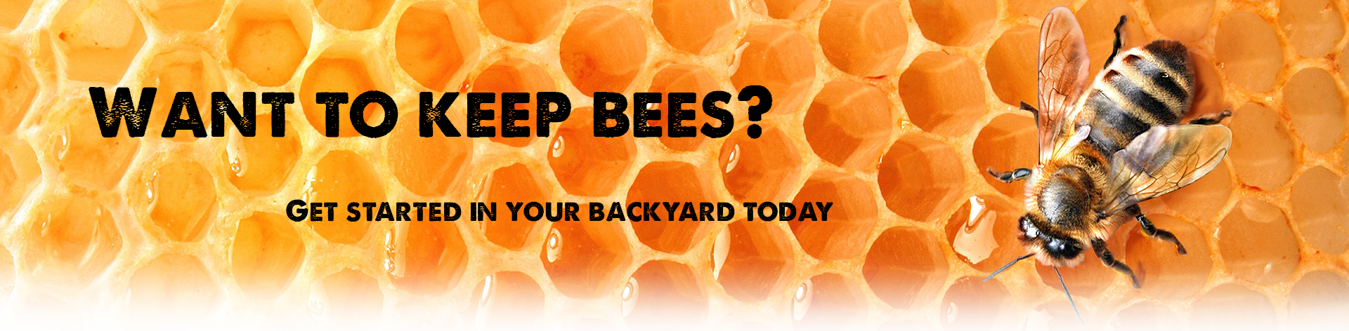 bee banner