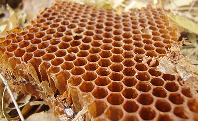Honeycomb